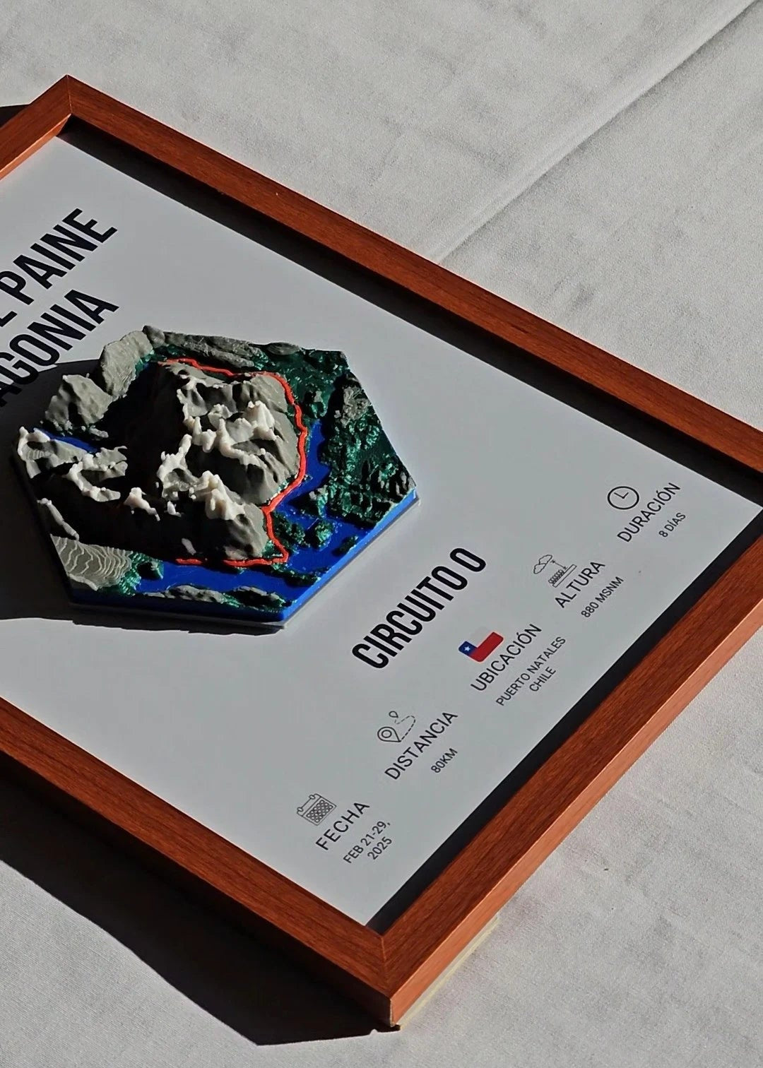 WILDSTUDIO | Mappa